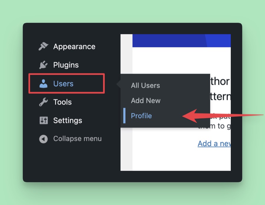 WordPress sidebar showing Users → Profile navigation